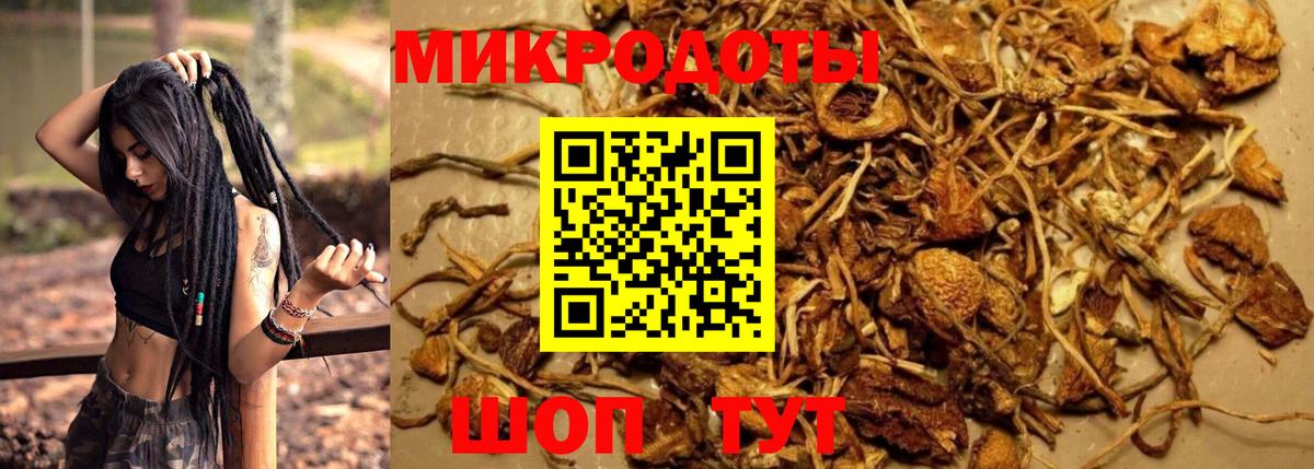 Псилоцибиновые грибы Magic Shrooms Рославль